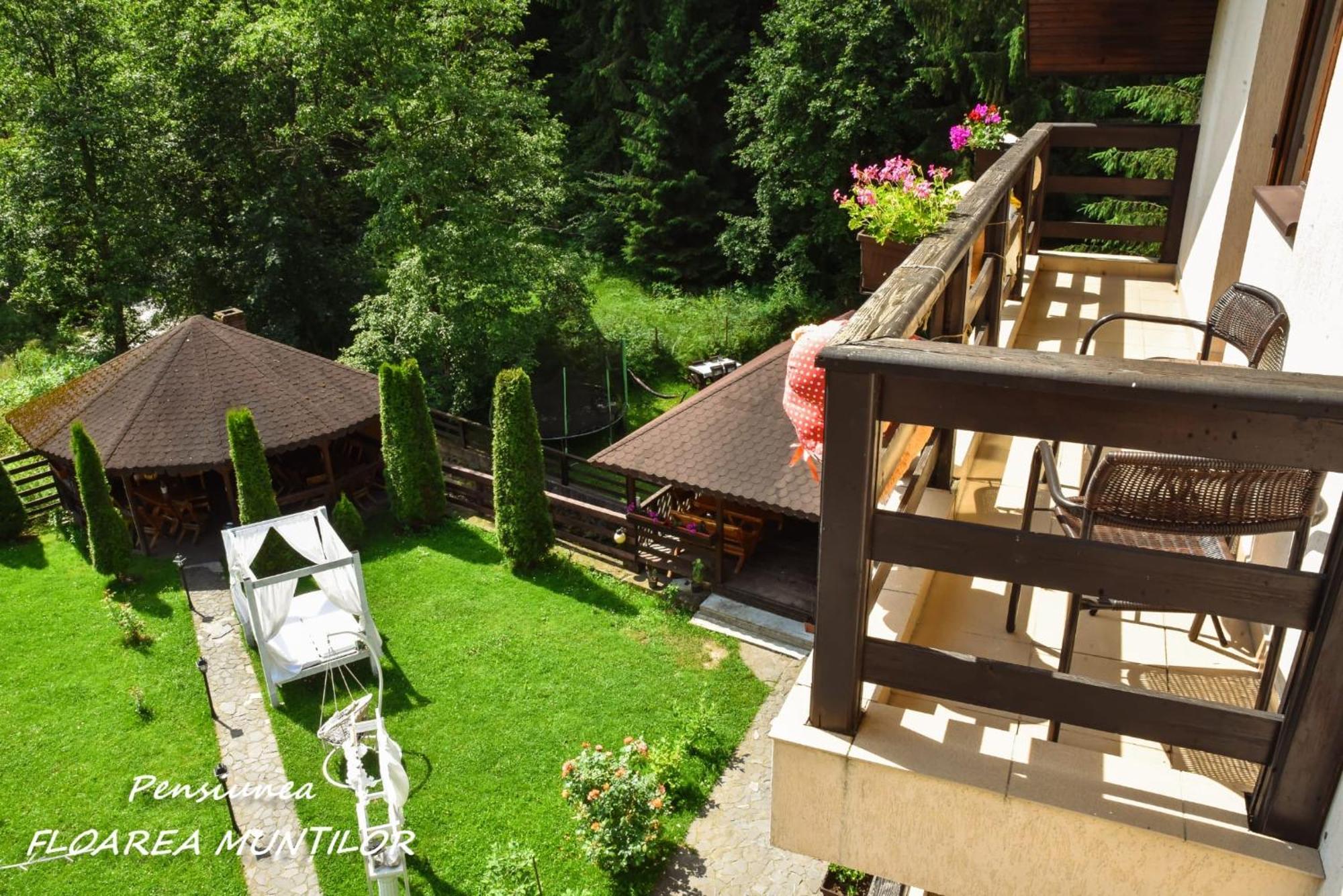 Pensiunea Floarea Muntilor Моечиу-де-Сус Экстерьер фото