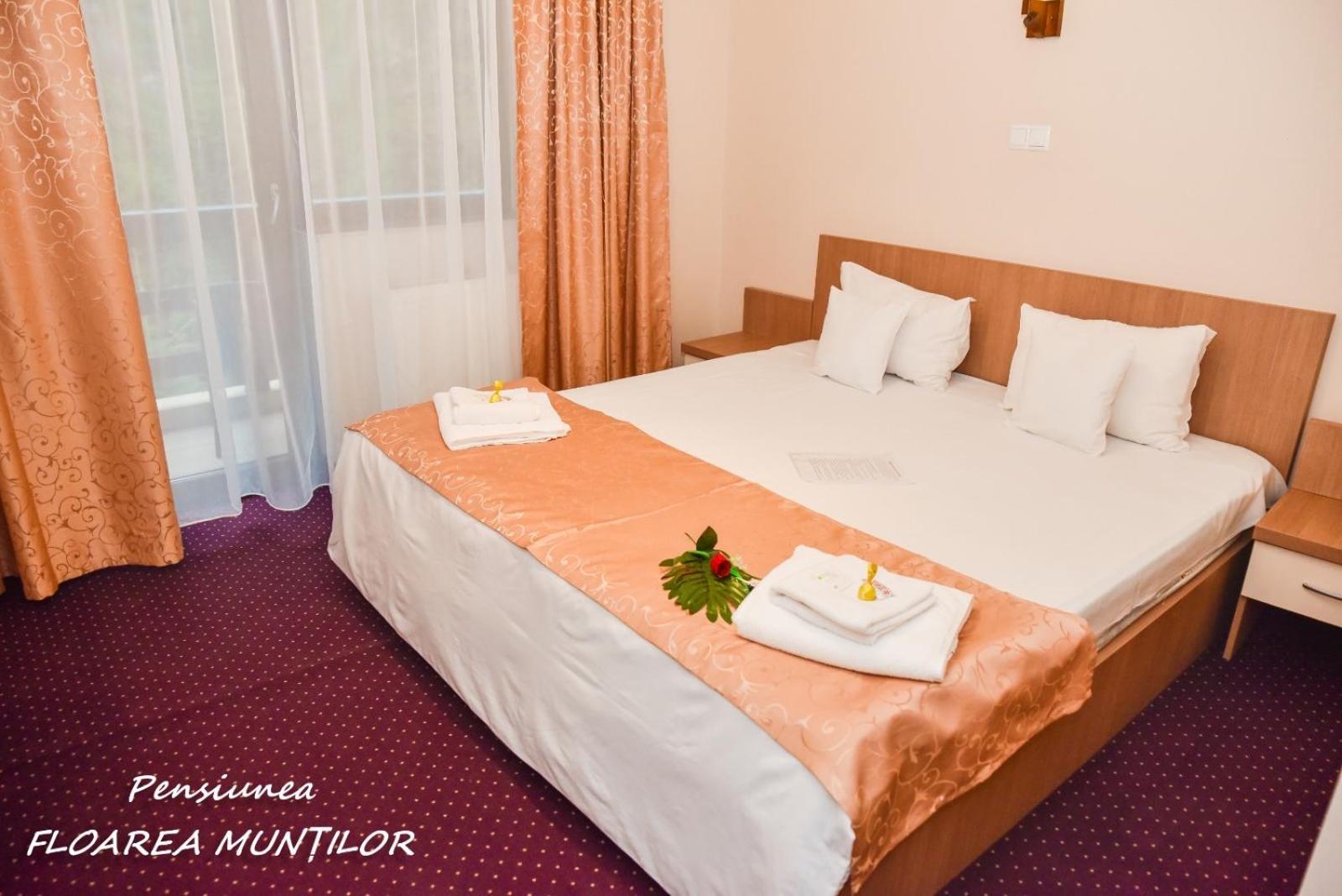 Pensiunea Floarea Muntilor Моечиу-де-Сус Экстерьер фото