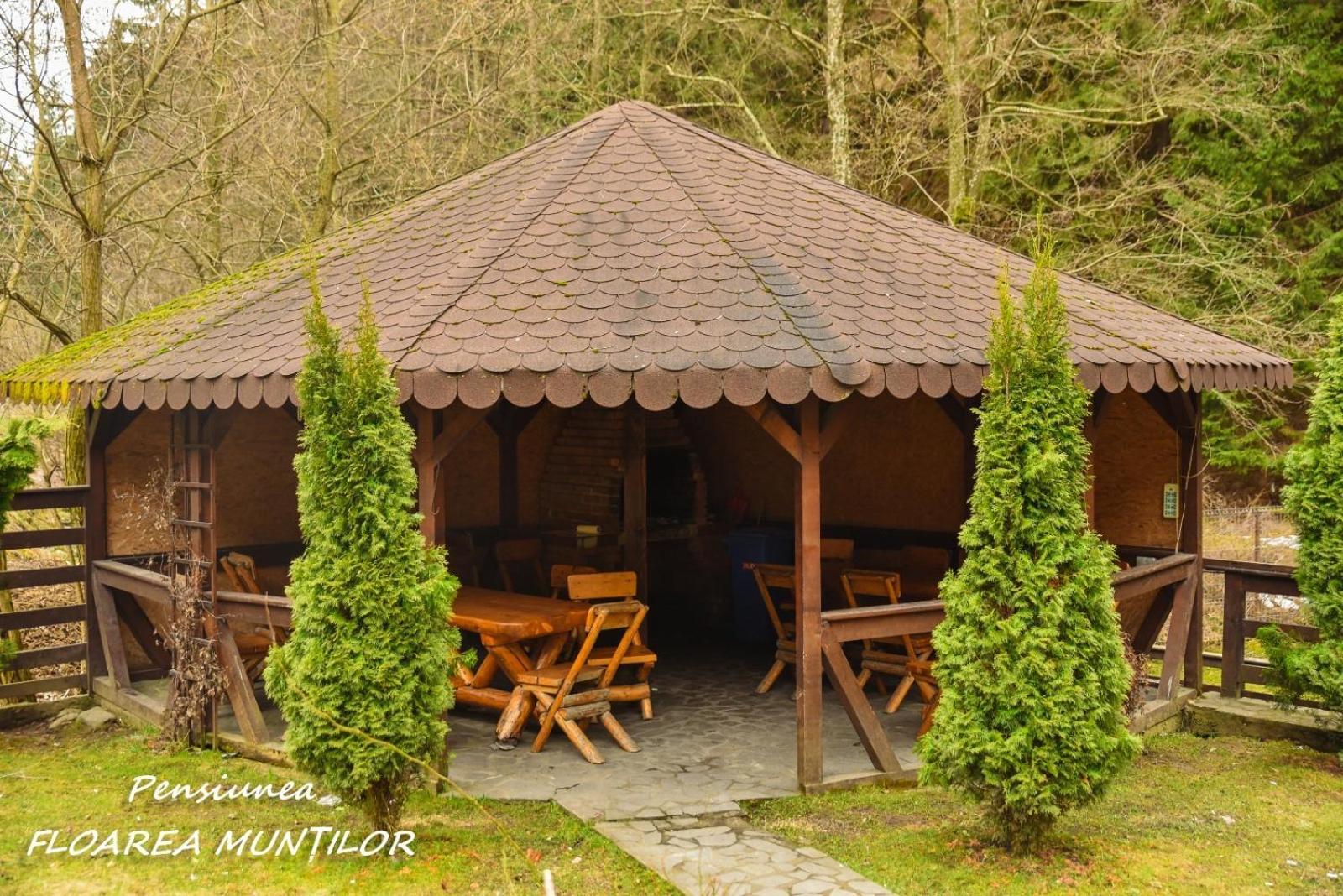 Pensiunea Floarea Muntilor Моечиу-де-Сус Экстерьер фото