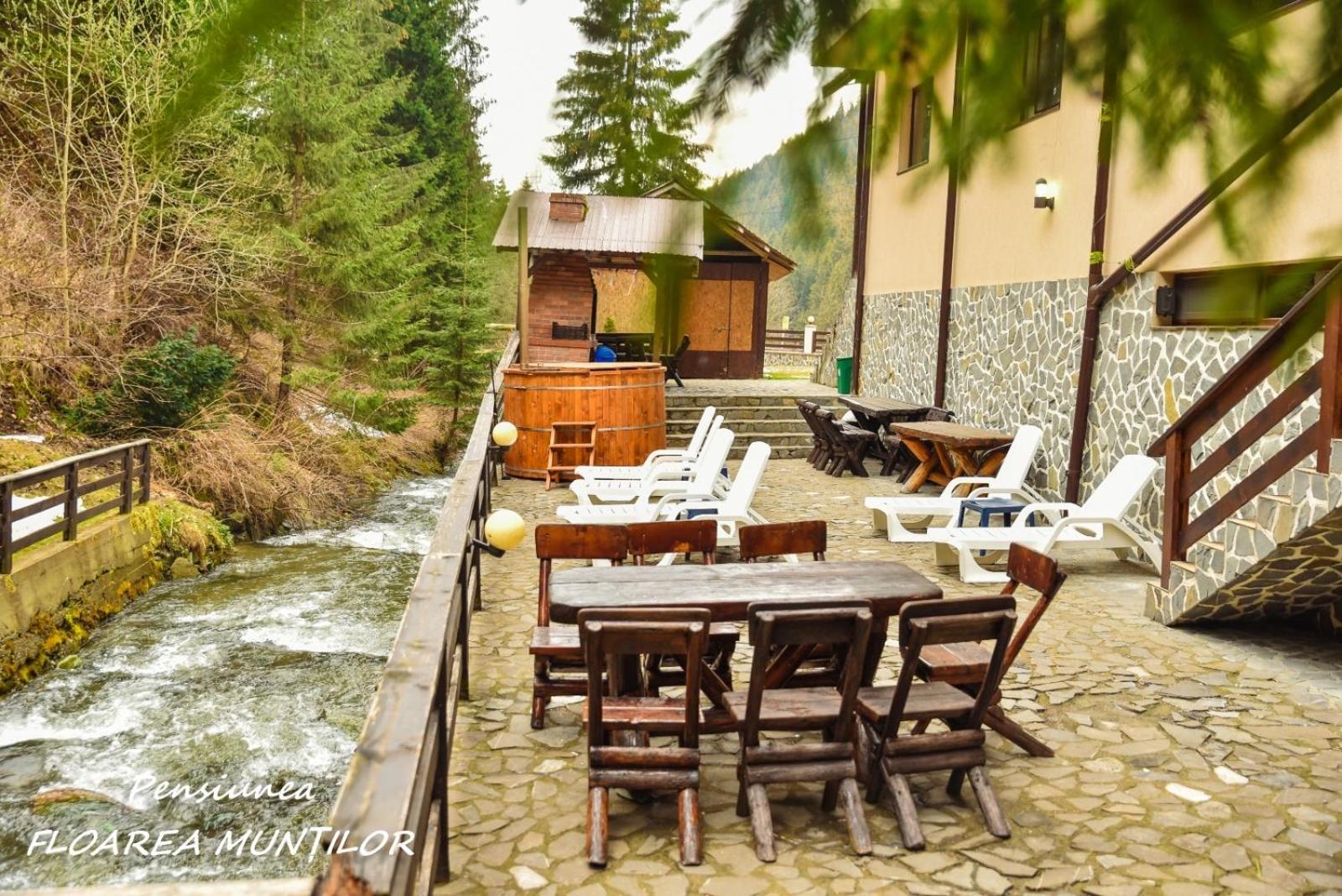 Pensiunea Floarea Muntilor Моечиу-де-Сус Экстерьер фото